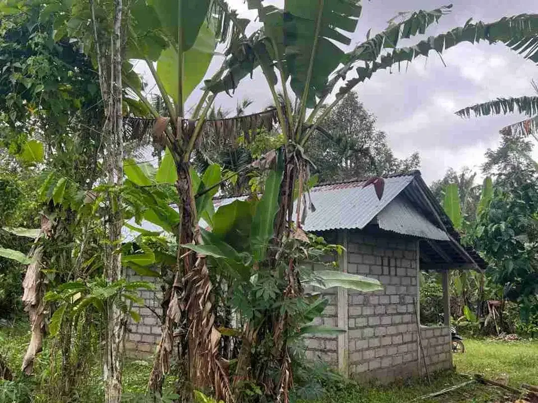 jual tanah kebun view sawah, gunung dan los sungai cantik di tabanan bali. - Image 3 of 10