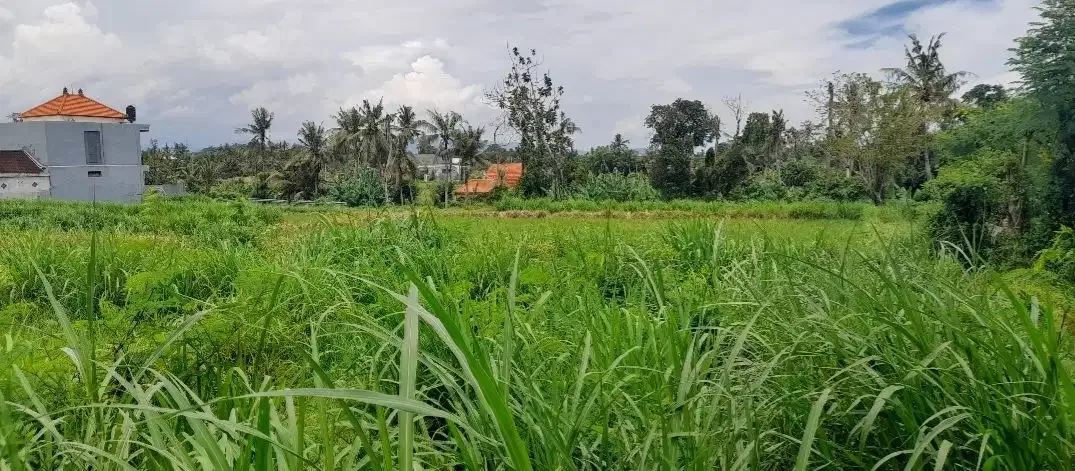 Tanah Murah Permata Pering Blahbatuh Gianyar Dekat Pantai Saba Ketewel - Image 1 of 10
