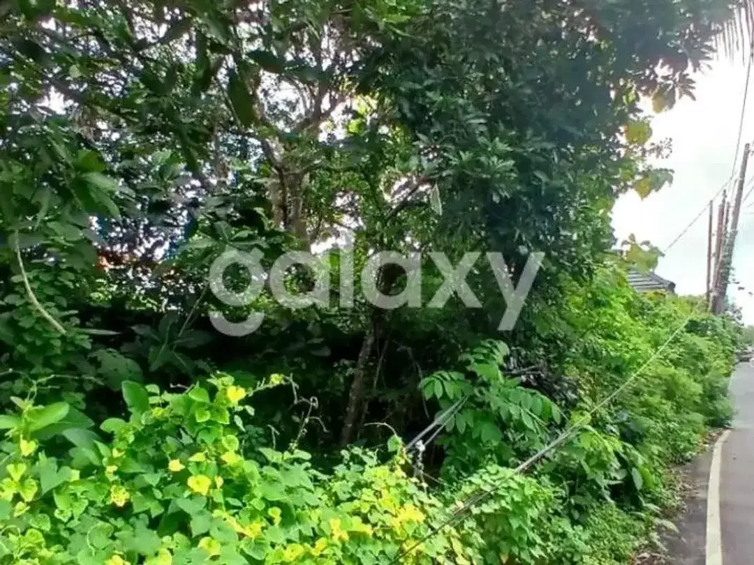 TANAH PINGGIR JALAN DI BELIMBING SARI PECATU BADUNG - Image 2 of 3