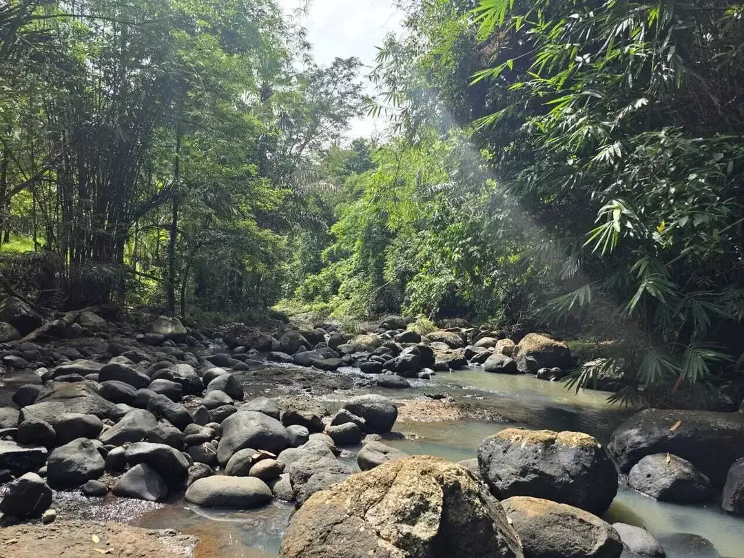 DIjual tanah dengan sungai bebatuan sangat cantik di tabanan bali - Image 1 of 10