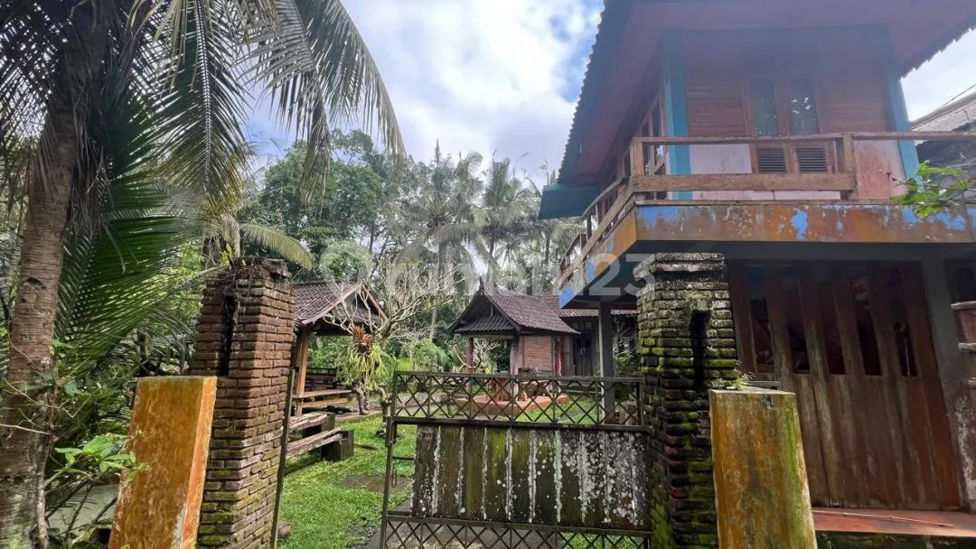 Jual Tanah Dan Rumah Murah Di Tabanan Bali - Image 2 of 4
