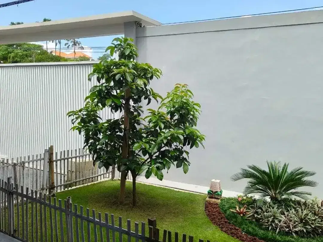 FOR SALE BEST PREMIUM VILLA NEW KAWASAN CANGGU - Image 10 of 10