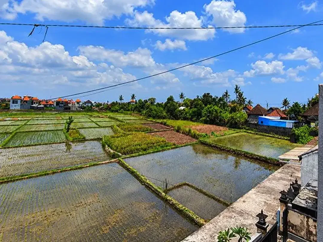 [AMS-024.BLR] Dijual 2 Unit Rumah Strategis 2 Lantai Siap Huni – View Sawah | Cekomaria -  Denpasar Utara - Image 6 of 7