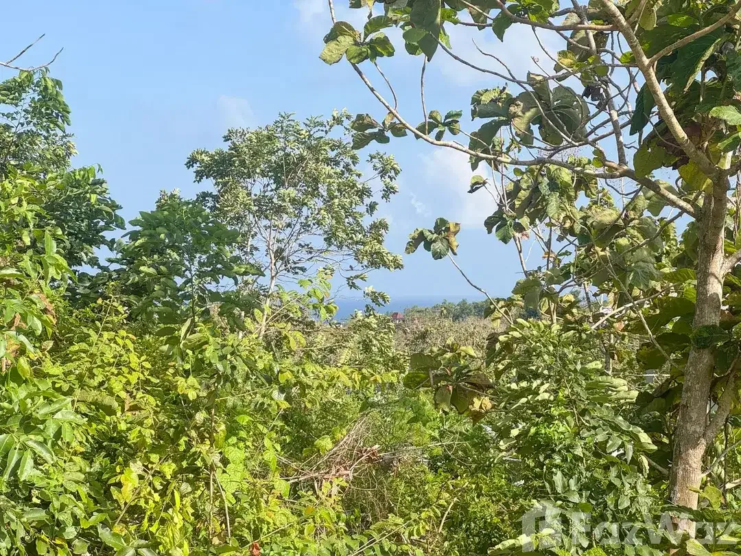 Land for sale in Uluwatu, Bali - Image 2 of 5