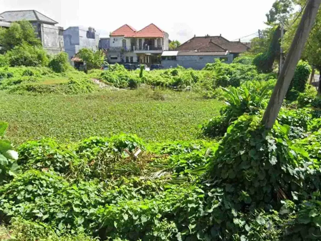 Tanah sewa Murah Strategis Langka di Renon Denpasar - Image 1 of 2