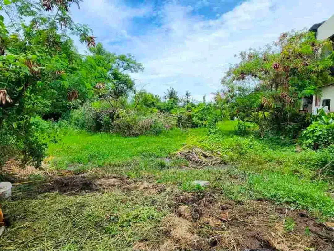 TANAH KOMERSIAL JALAN UTAMA PANTAI PERERENAN CANGGU COCOK UNTUK SEGALA MACAM USAHA PARIWISATA - Image 7 of 7