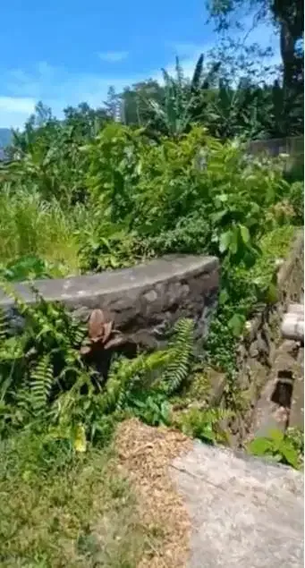 DIJUAL TANAH PINGGIR JALAN RAYA BATURITI BEDUGUL - Image 6 of 7