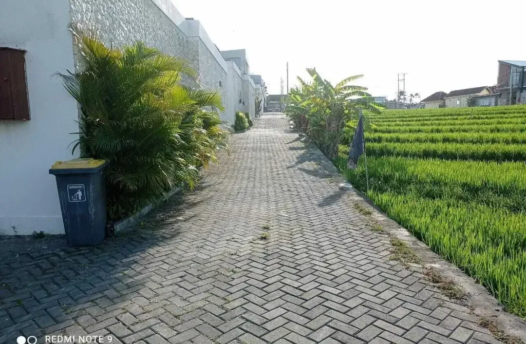 Tanah View Sawah Terasering Dekat Pantai Berawa Canggu - Image 5 of 10