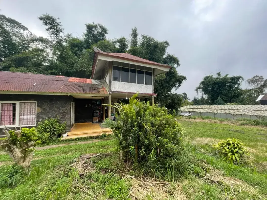 PREMIUM LAND IN THE HEART OF BEDUGUL - Image 3 of 10
