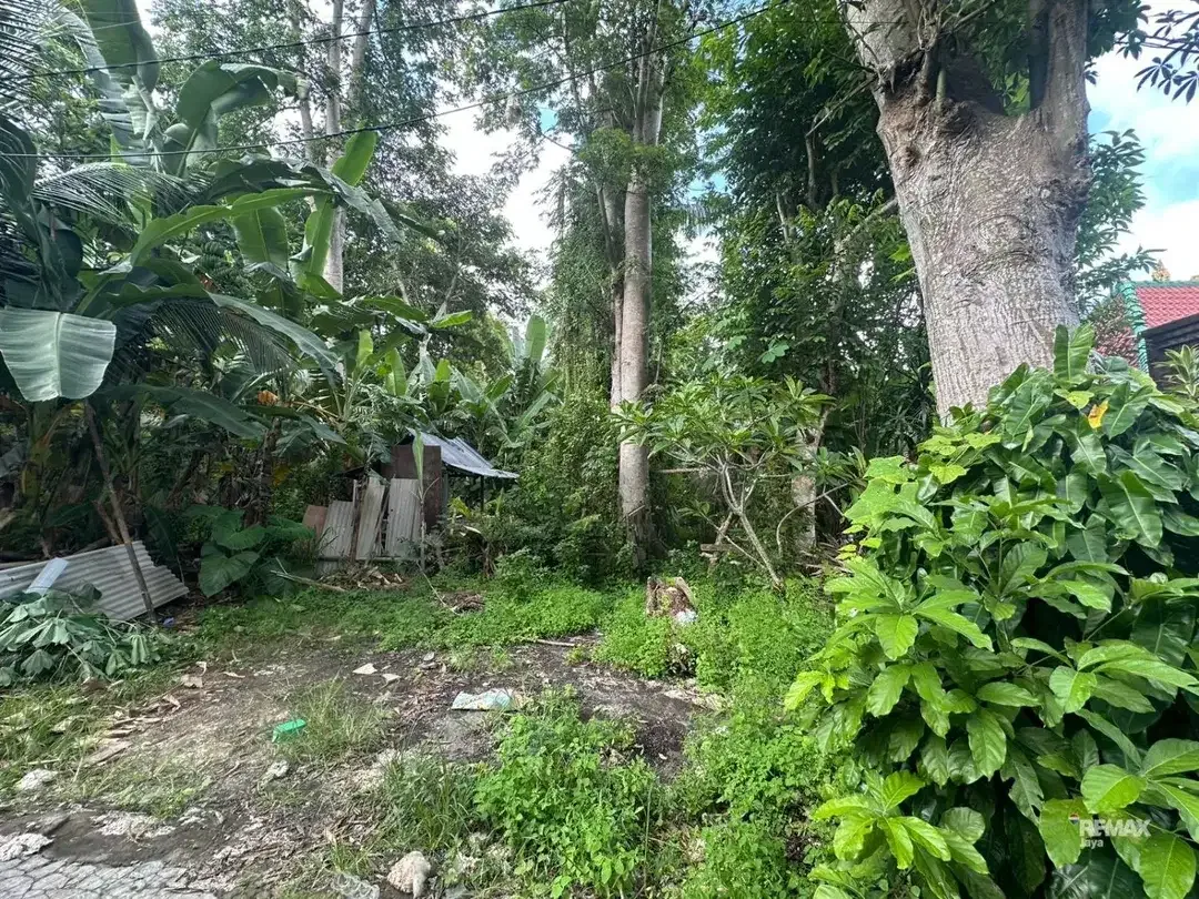 Prime Land for Sale in Pecatu – Ideal for Private Villa or Investment. - Image 3 of 6