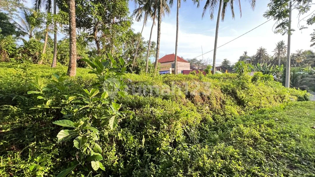 Dijual Tanah Di Pinggir Jalan Utama Denpasar Gilimanuk,dekat Kota Tabanan. - Image 4 of 4