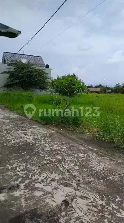 Tanah Luas Strategis Jual Cepat di Tabanan - Image 1 of 4