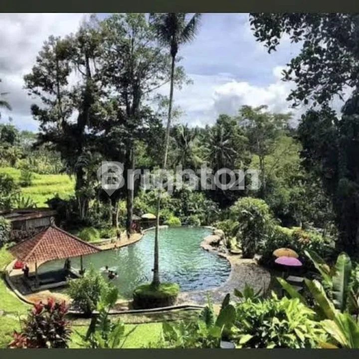 Tanah di Samping Hot Spring Yeh Panes Tabanan - Image 4 of 4