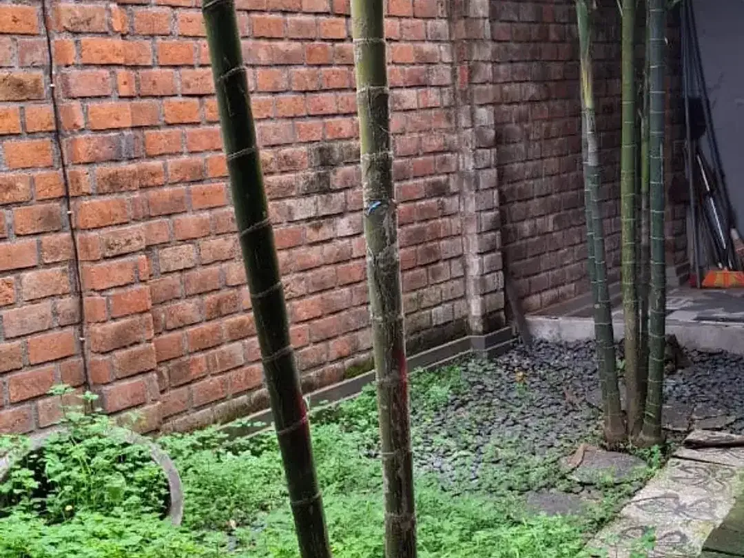 Dijual murah rumah hitung tanah dekat Plaza Renon - Image 8 of 9
