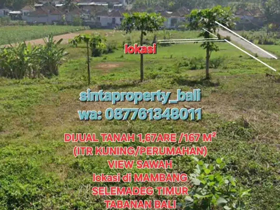 Jual Tanah 1,67are VIEW SAWAH, ITR perumahan di Puspa Asri Residence, Selemadeg Tabanan Bali - Image 7 of 10