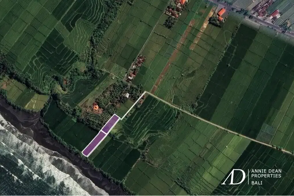 FREEHOLD BEACHFRONT LAND IN PEKUTATAN (3,000 M2) IN TOURISM ZONE - Image 2 of 10