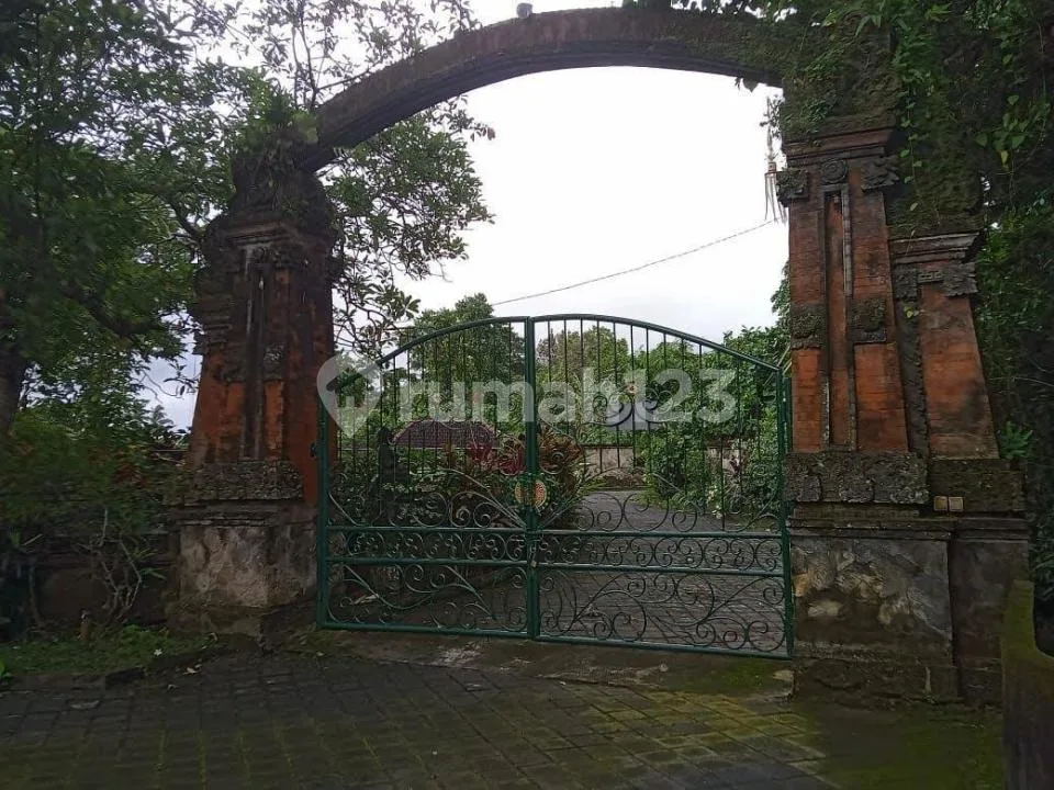 Villa Mewah 6 Unit View Sawah dan River Side Dgn Pool, Singapadu - Image 4 of 4