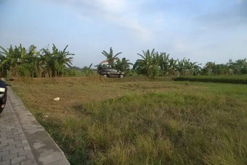 Kavling jalan kaki ke pantai Pasut Tabanan - Image 6 of 7