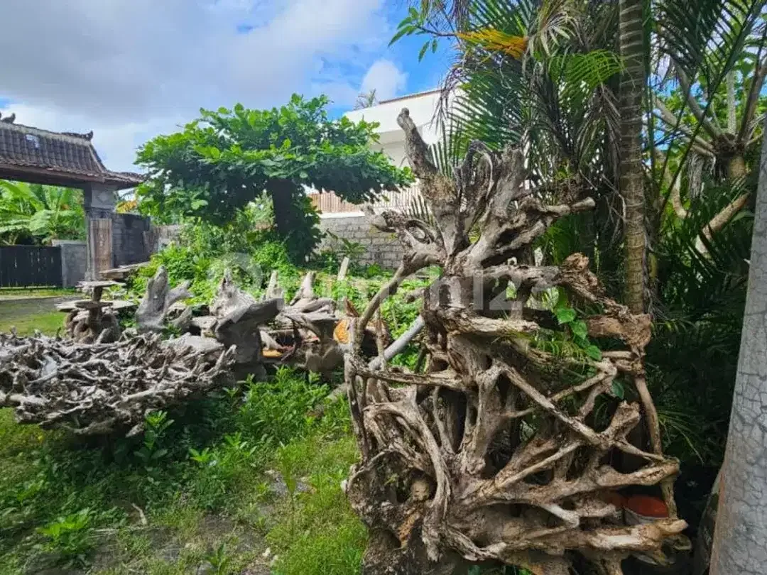 Dijual Lahan Siap Bangun di Kerobokan Bali - Image 5 of 7