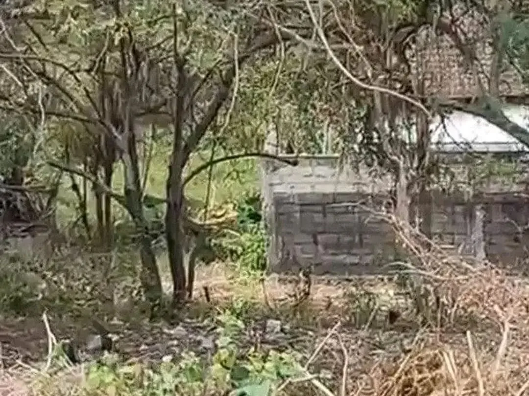 Tanah Kosong di Dekat Jalan Gunung Payung Kutuh - Image 4 of 10