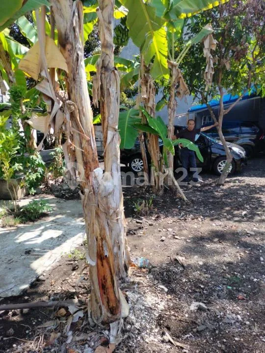 Dijual Tanah Aspek Perumahan Area Jimbaran Bawah Dekat Mcd Jimbaran - Image 3 of 4