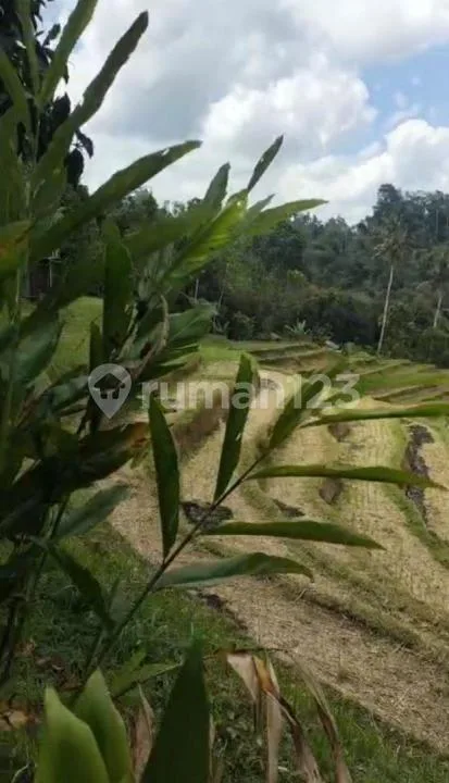 Di Jual Tanah dengan Harga Yg Murah dengan View Yg Sangat Indah - Image 3 of 4