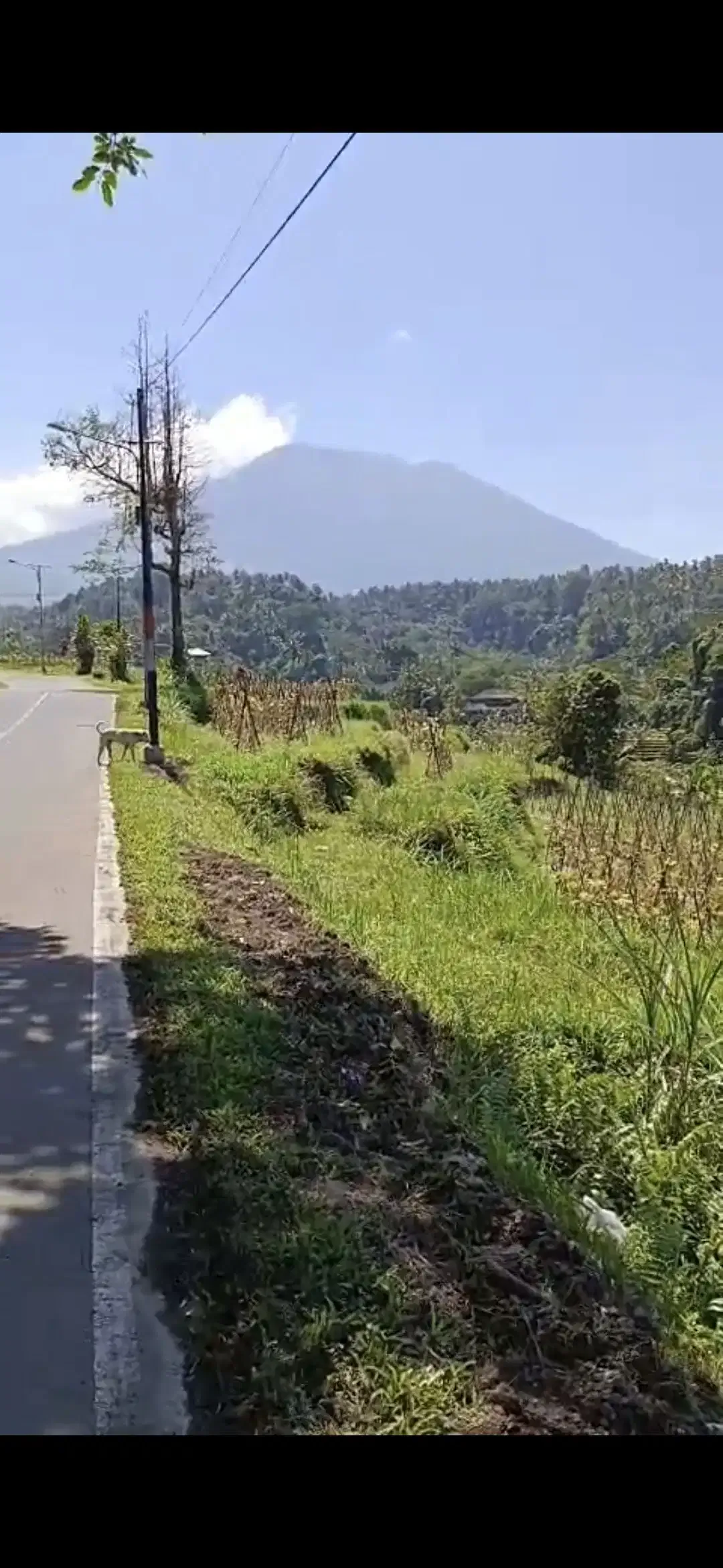 Land 20a for Sale close to Sidemen Traditional Village Bali - Image 7 of 10