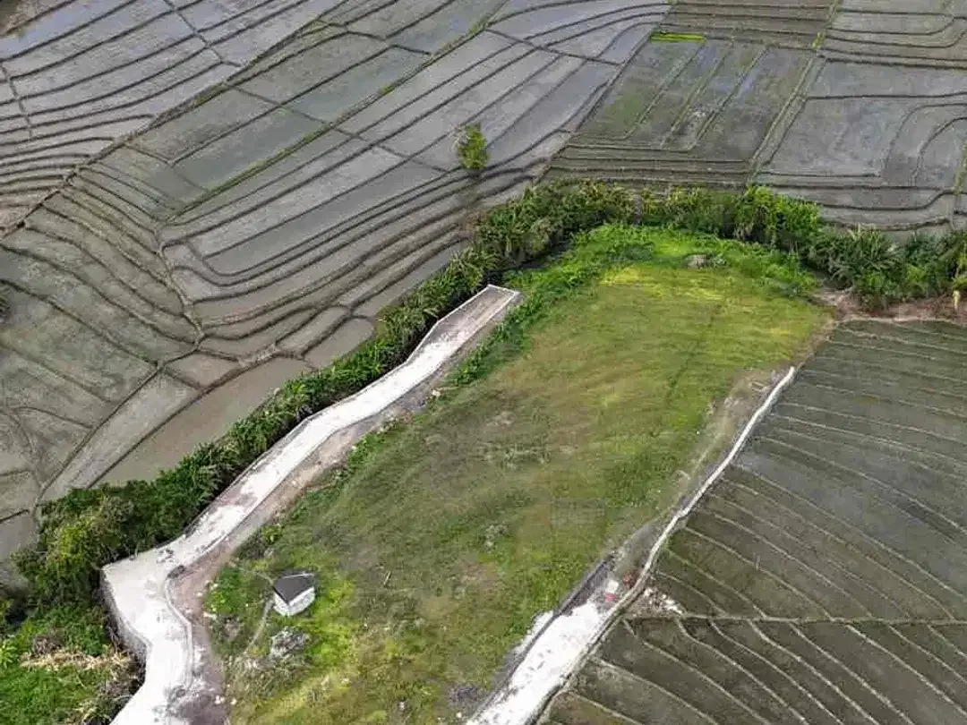 Dijual Tanah Pariwisata SHM 37 Are View Sawah dan Pantai Pasut Bali - Image 2 of 10
