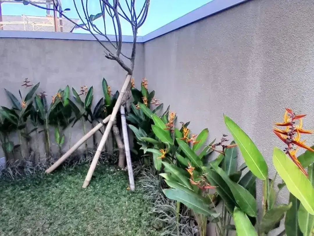 VILLA 3 BR FURNISHED KONDISI BARU LOKASI DEKAT PANTAI UNGASAN BALI - Image 5 of 10