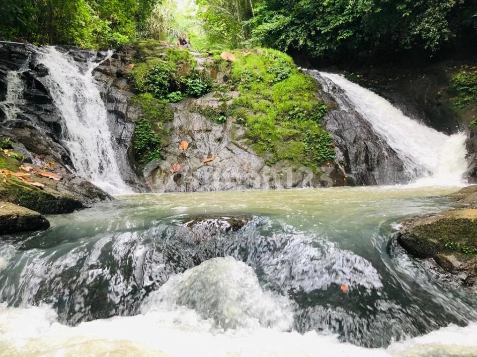 Tanah los sungai, waterfall murah di bali - Image 4 of 4
