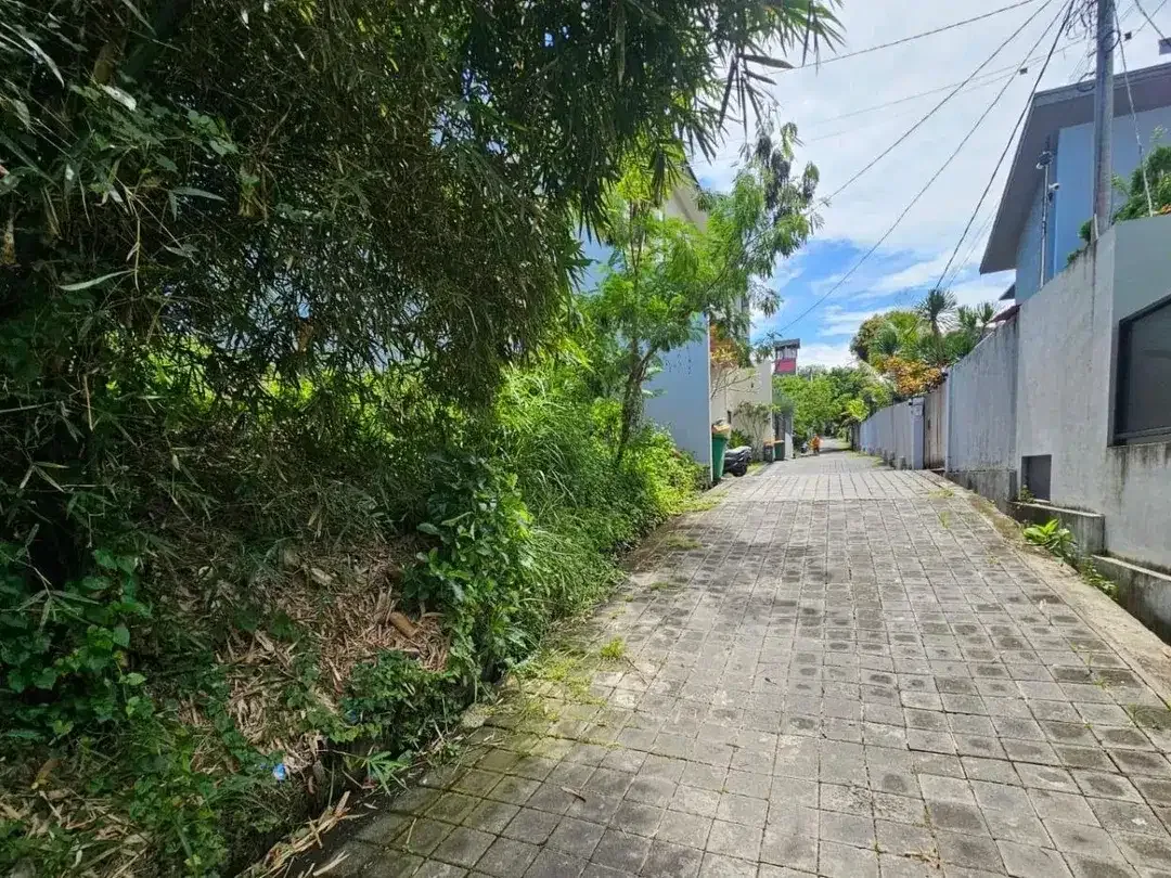 Tanah padang linjong canggu - Image 5 of 8
