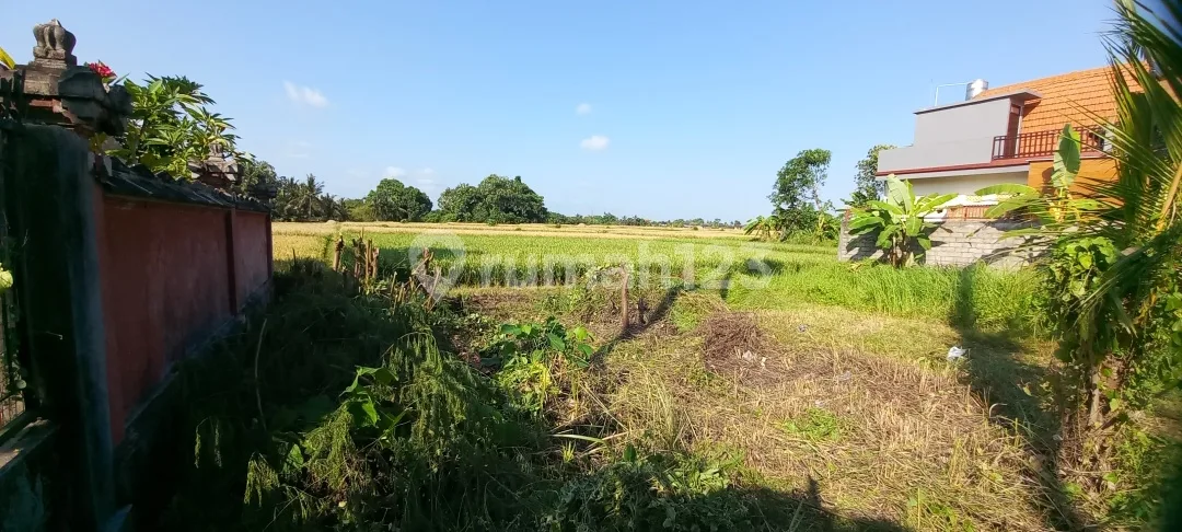 Tanah Kedungu View Sawah Dekat Pantai - Image 3 of 4