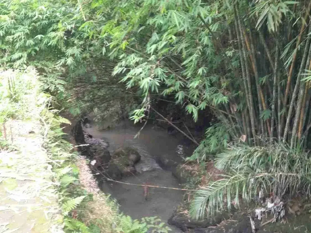 Lahan Langka padang Luwih dalung 1.7 are global 930 Juta SHM bebas banjir strategis - Image 10 of 10