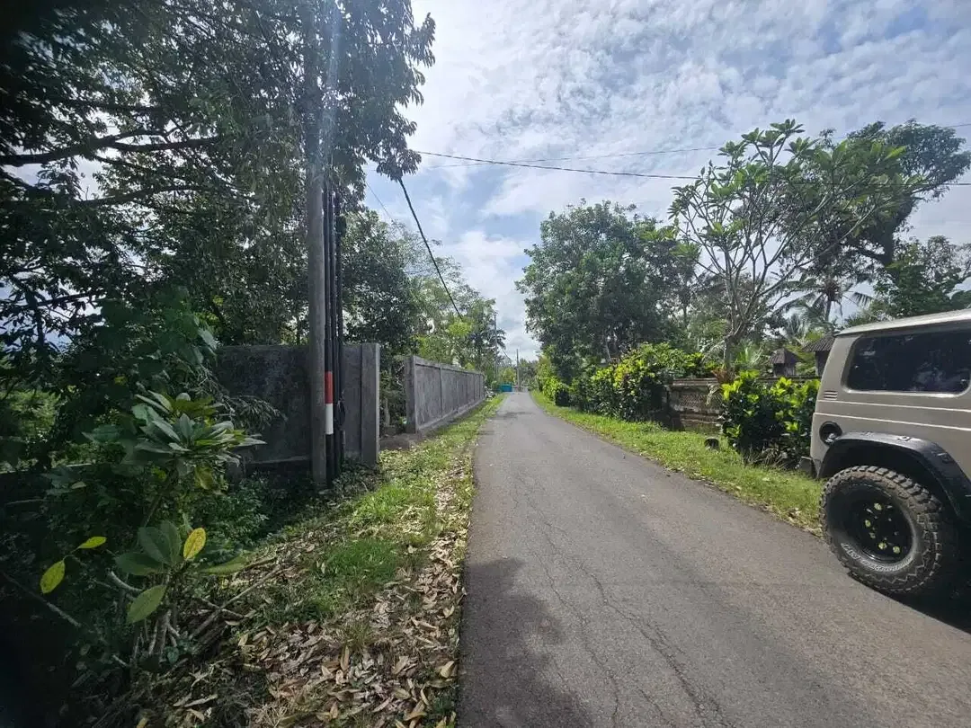 Dijual tanah los sungai besar berbatu - Image 8 of 9