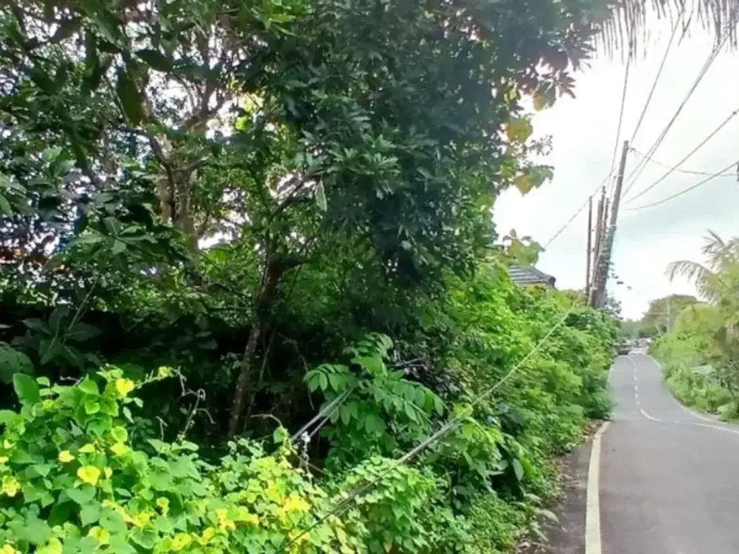 TANAH PINGGIR JALAN DI BELIMBING SARI PECATU BADUNG, BALI - Image 5 of 10