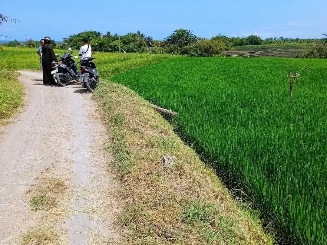 Land for sale in Kerambitan, Bali - Image 6 of 6