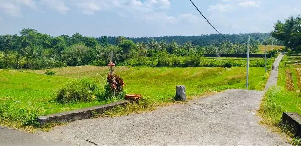 TANAH STRATEGIS VIEW SAWAH TABANAN - Image 6 of 10
