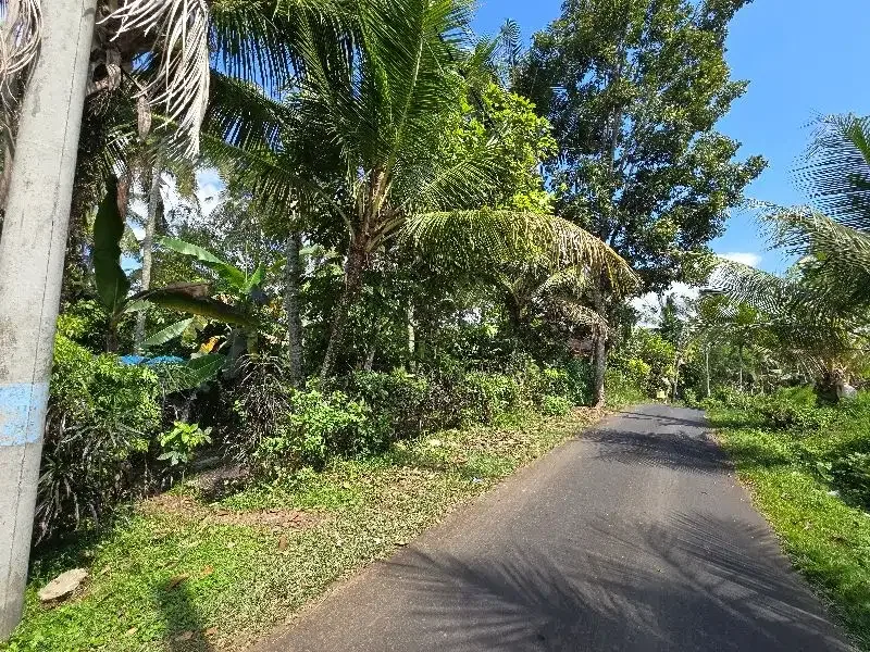 DIJUAL TANAH LOS SUNGAI di tabanan bali BEBATUAN - Image 9 of 10