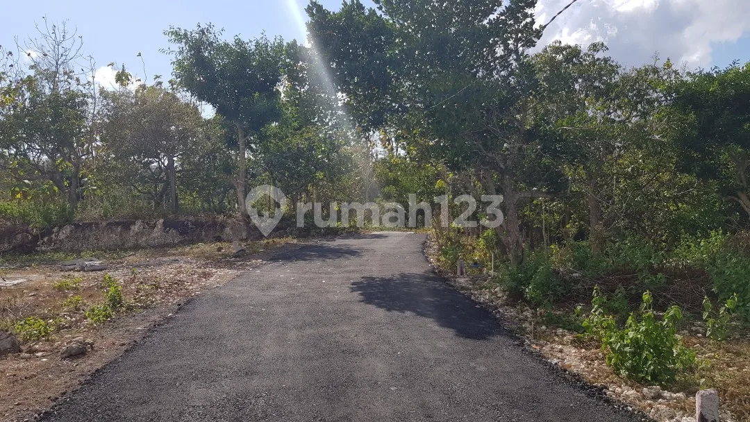 Proyek 11 Klumpu Investment Land - Image 4 of 4