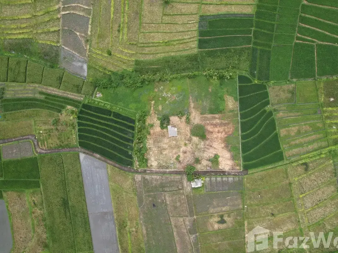 Land for sale in Kediri, Bali - Image 1 of 6