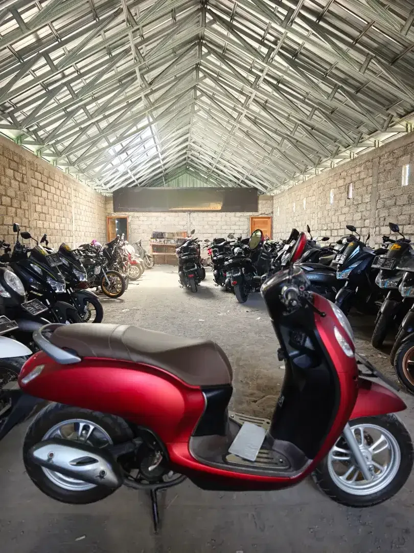 SCOOPY RED 2023 - Image 3 of 4