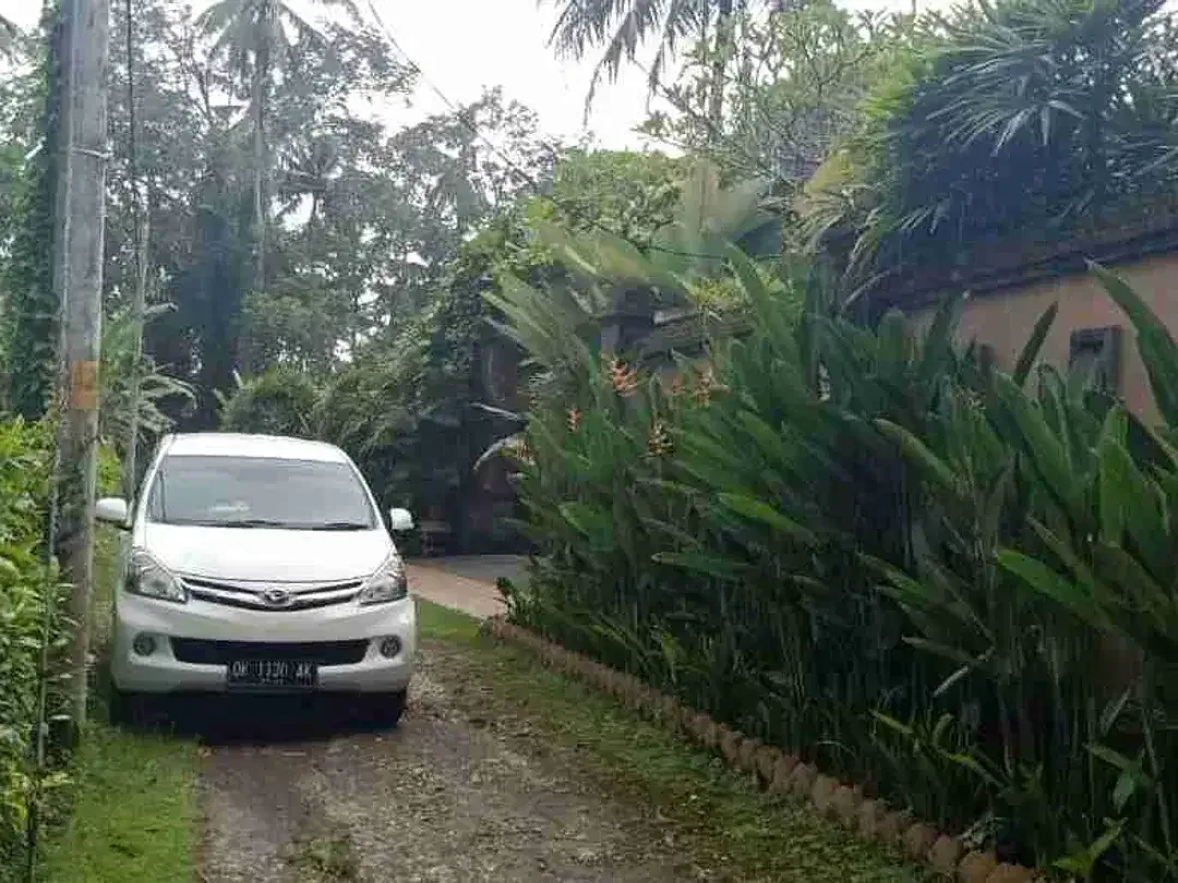 Dekat Pantai Pasut! Lahan Komersial 800m² Harga Menarik - Image 3 of 10