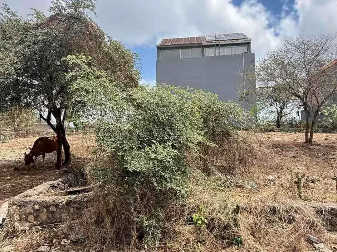 DIJUAL TANAH STRATEGIS UNGASAN – 200 METER DARI JL GOA GONG - Image 6 of 10
