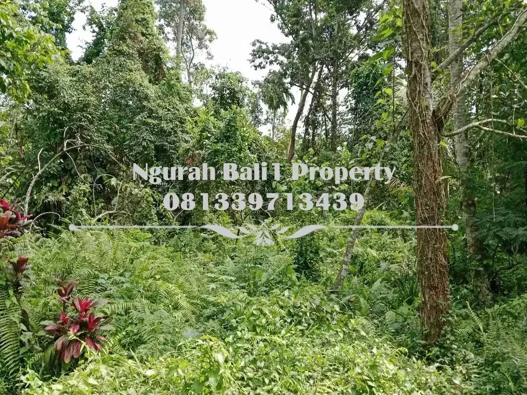 Dijual Tanah Murah Luas 250 m2 Kawasan Villa di Ubud Pejeng - Image 6 of 6