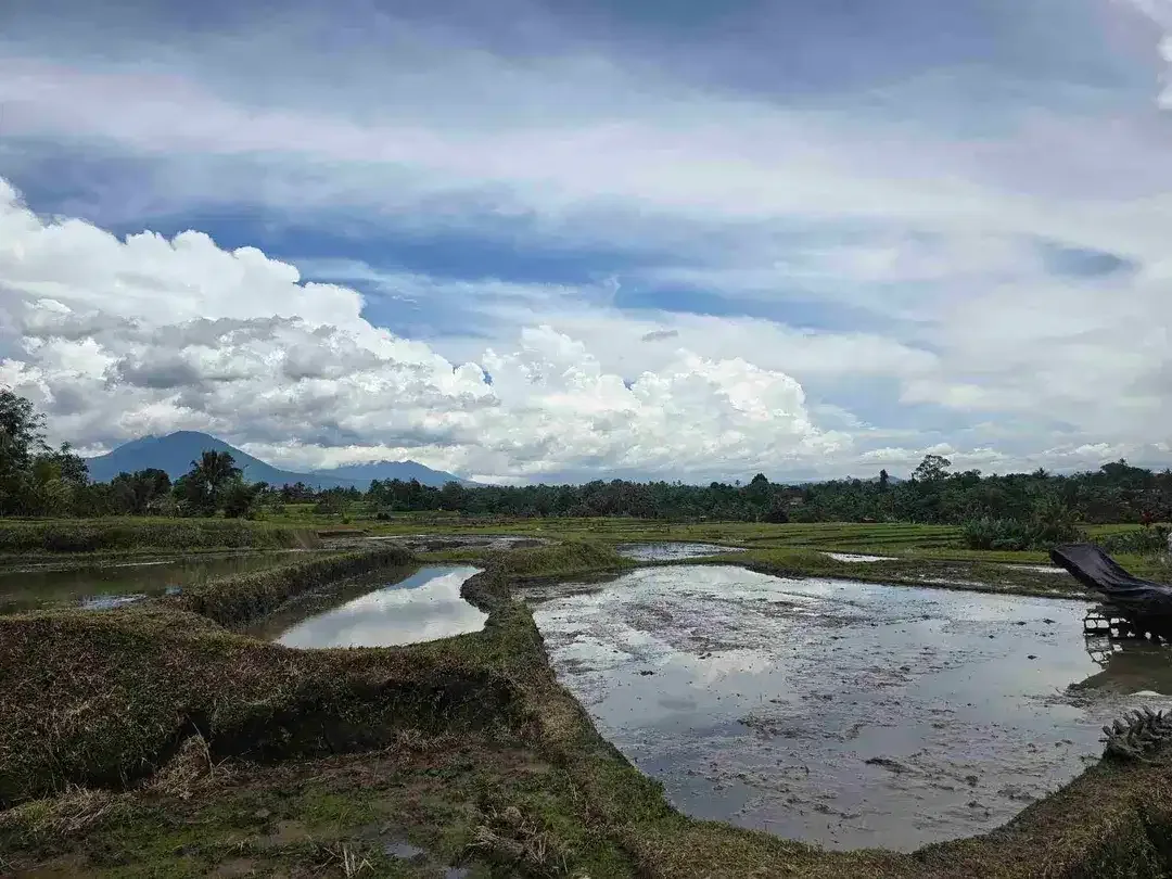 Dijual tanah murah view gunung sawah dan laut di tabanan bali - Image 2 of 9