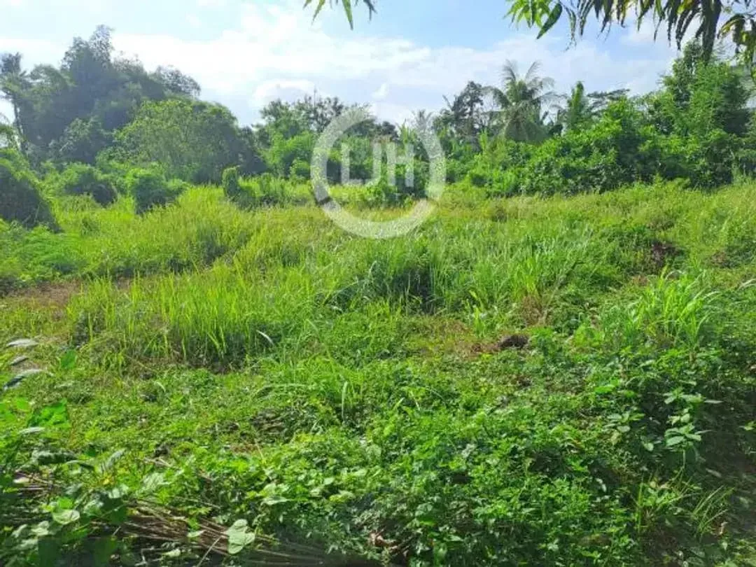 Land In Main Road, Bitera, Gianyar, Close to Kapten I Wayan Dipta Stadium and Ubud Area, Suitable for Business - Image 2 of 5