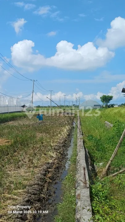 Tanah Di Jl. Jangga, Belalang Kedungu Shm 500.0 MÂ² - Image 4 of 4