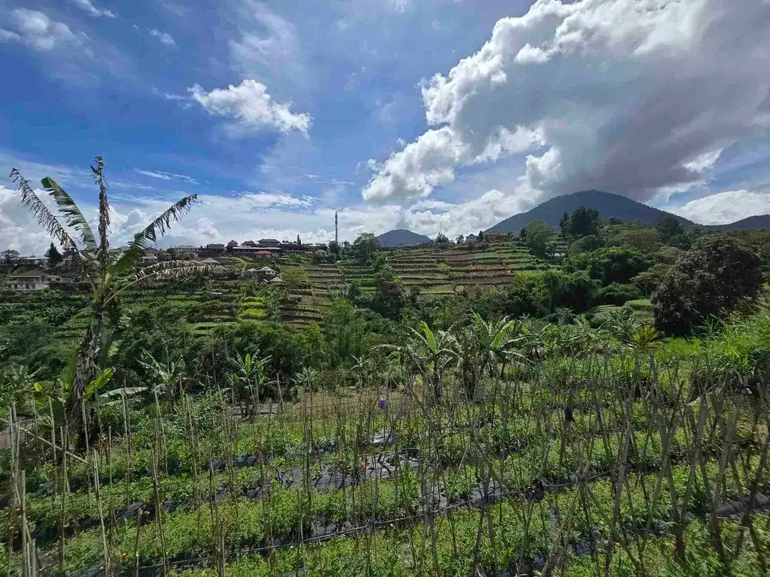 Dijal tanah murah view gunung laul dan lembah di bedugul bali - Image 5 of 10