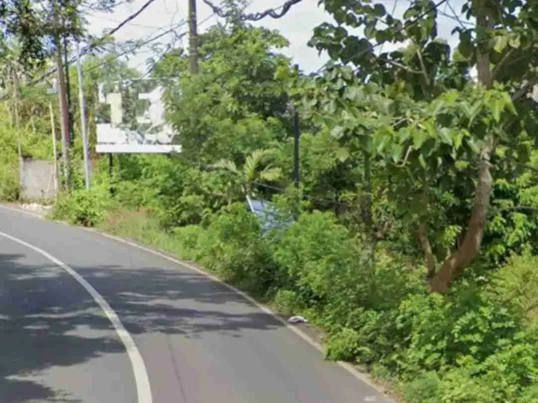Tanah Zona Pink di Jalan Utama Belimbing Sari Pecatu Bali - Image 1 of 3