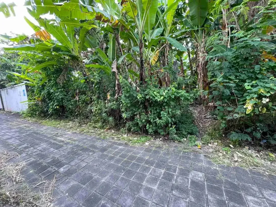 Tanah Premium Di Batu Belig Kerobokan Dekat Ke Pantai Cafe Del Mar Petitenget Umalas - Image 1 of 6